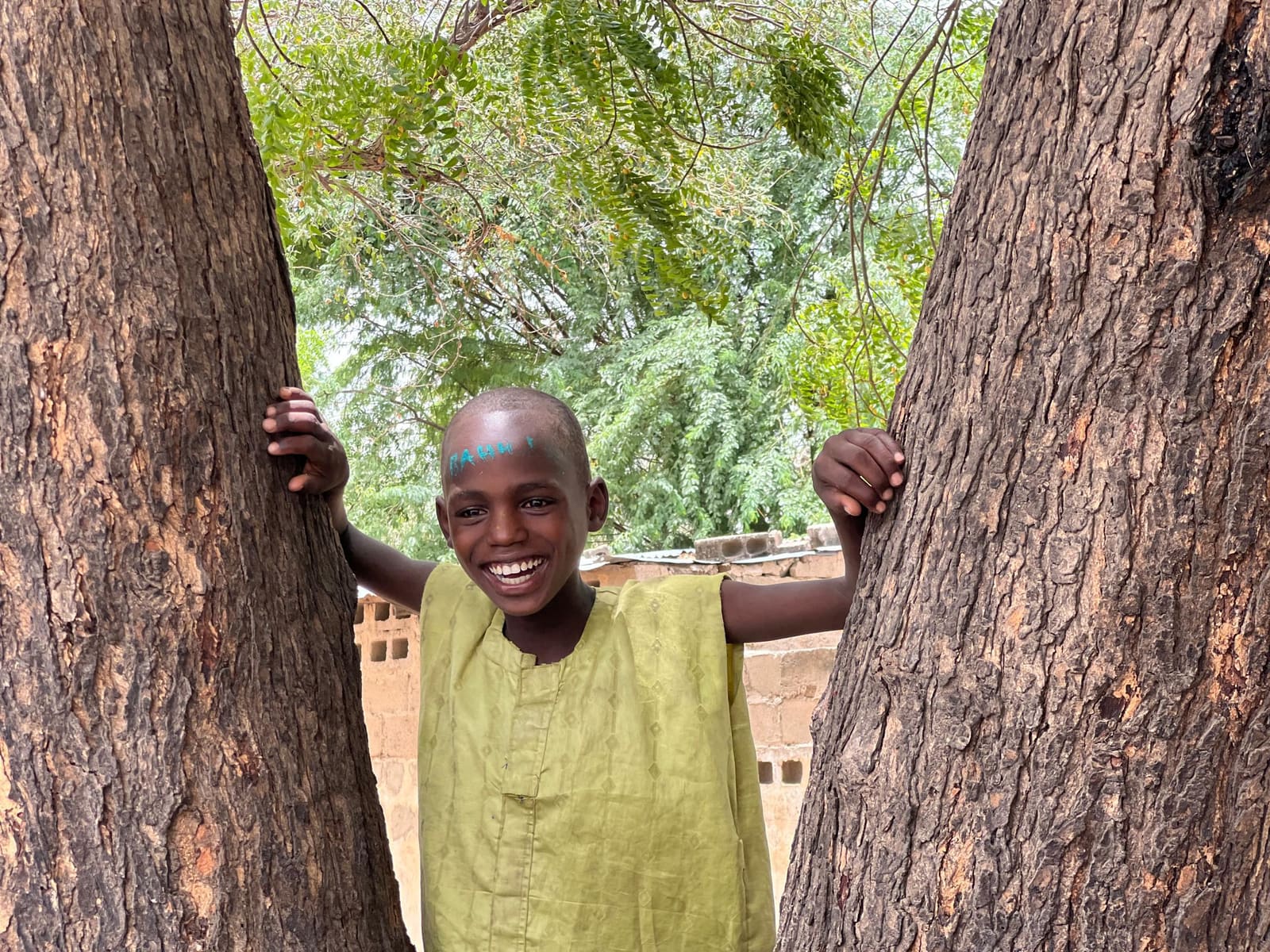 A smiling child stands between two tree trunks near the session venue